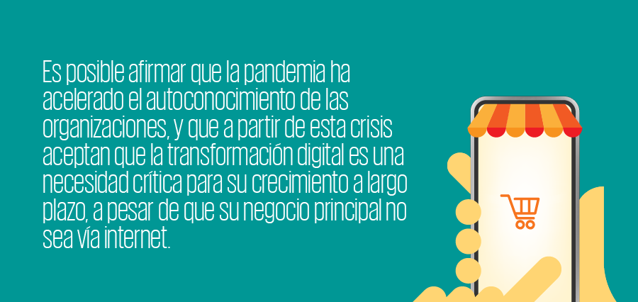 FRASE_~1