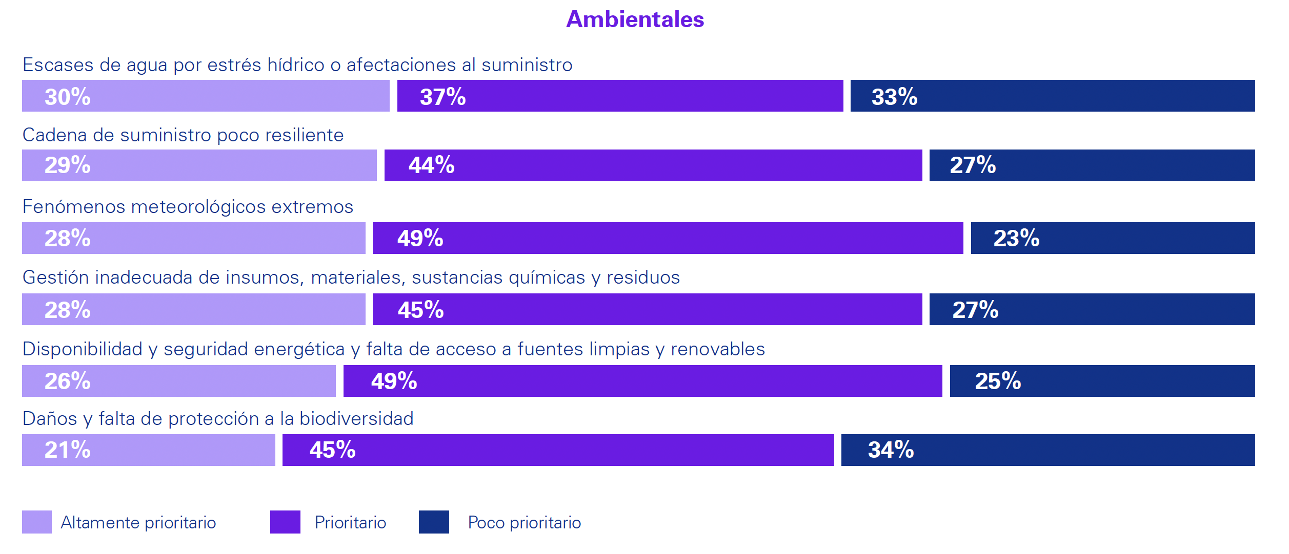 grafica5