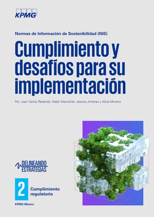 portadaOK-Adopcion-de-las-NIS-en-Mexico