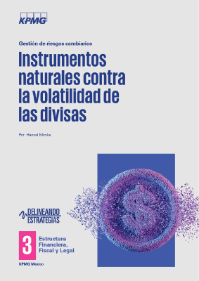 portada-LP-Gestion-de-riesgos-cambiarios
