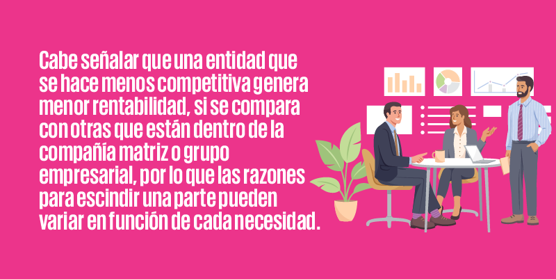 Cabe señalar que una entidad que se hace menos competitiva genera menor rentabilidad, si se compara con otras que están dentro de la compañía matriz o grupo empresarial, por lo que las razones para escindir una parte pueden variar en función de cada necesidad.