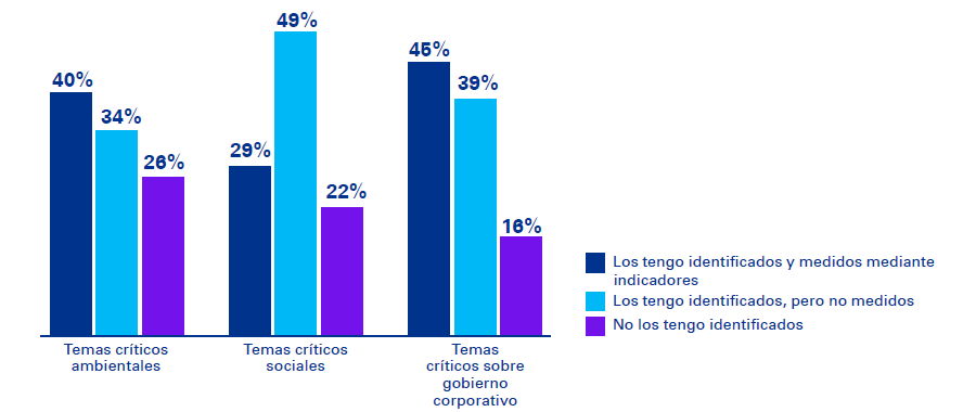 Grafica-05