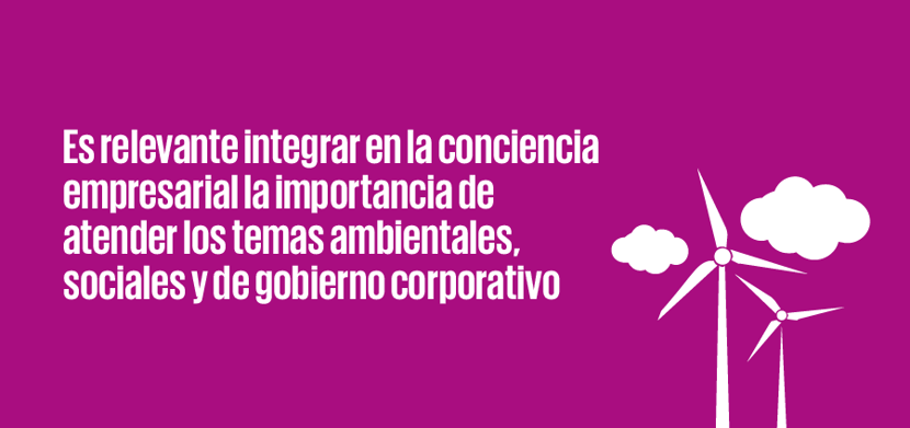 frase_resaltada_900px-Seis-claves-para-crear-una-estrategia-ASG