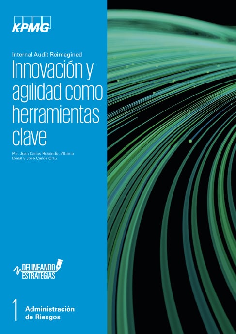 imagen-biblioteca-Internal-Audit-Reimagined
