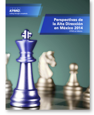 perspectivas de la alta direccion en mexico 2014