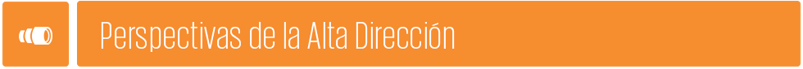 perspectivas-de-la-alta-direccion