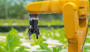 El liderazgo tiene un papel fundamental para dirigir esfuerzos continuos, tanto económicos como de capital humano para promover la innovación