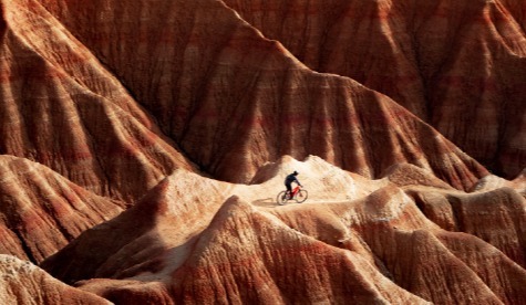 Innovación sin fricciones: el nuevo motor de resiliencia y crecimiento empresarial en 2026